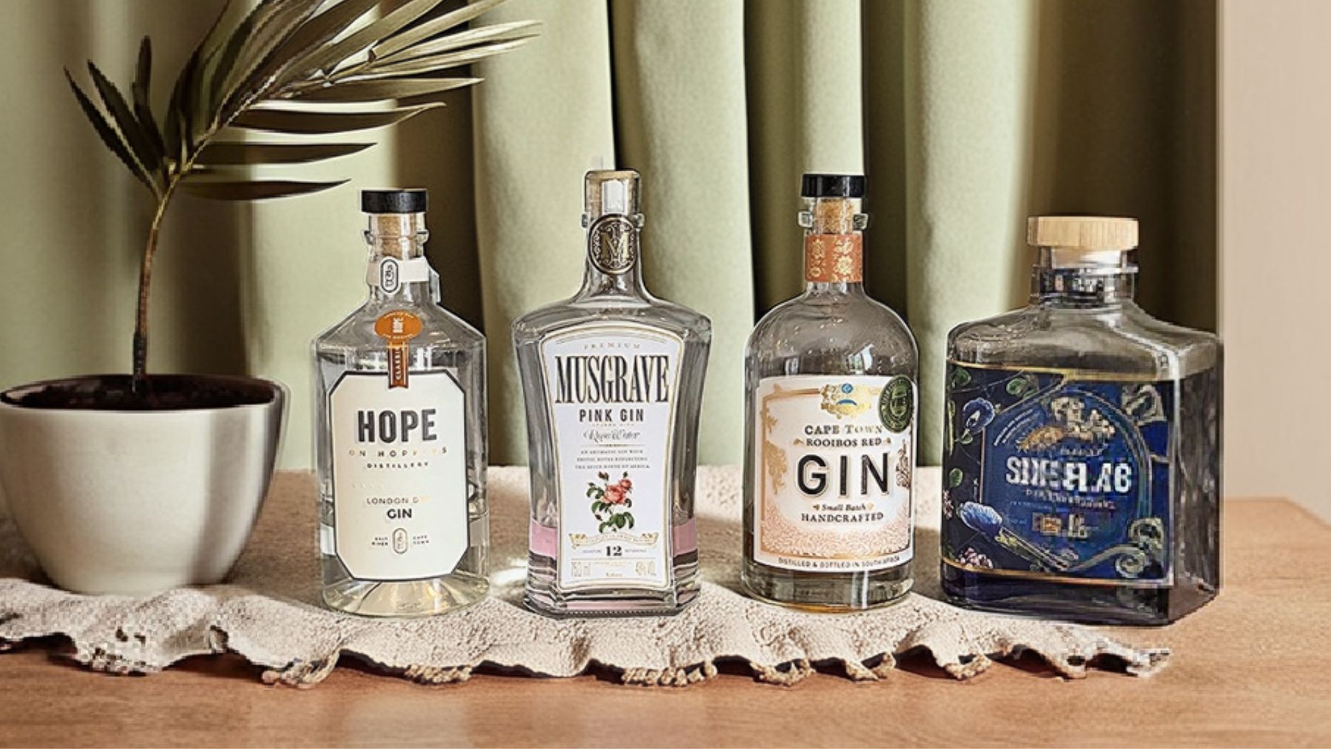 The Botanicals of South African Gin A Complete Guide
